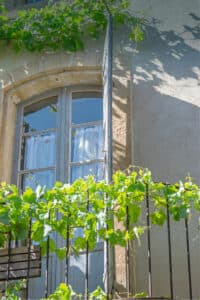 Les fenêtres