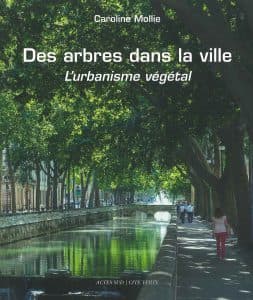 Des arbres dans la ville