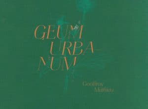 GEUM URBA-NUM