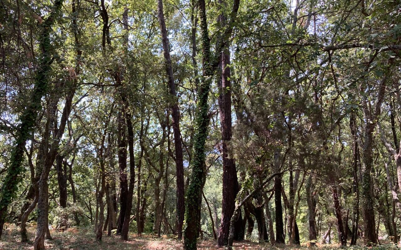Parc loisirs des Adrets
