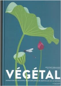 Végétal