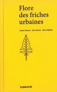 Flore des friches urbaines