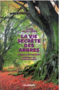 La vie secrète des arbres
