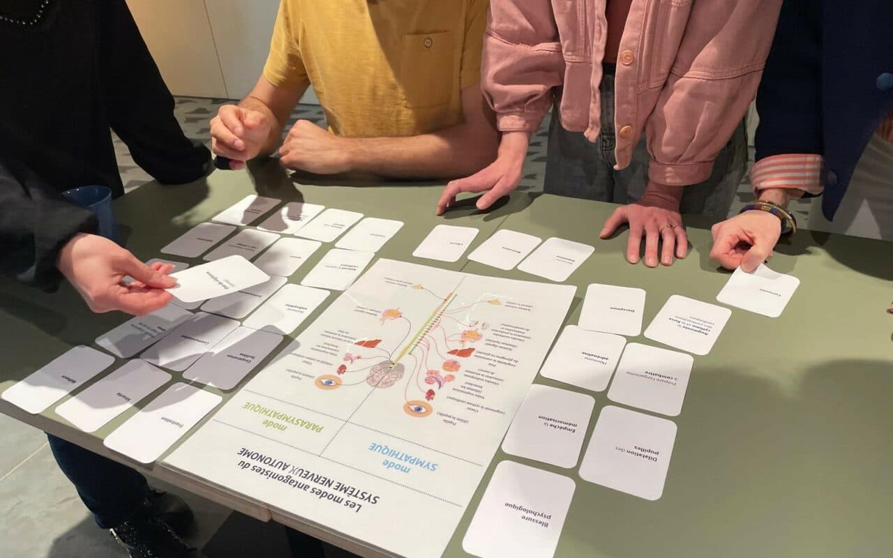 Formation Neuroscience CAUE 31