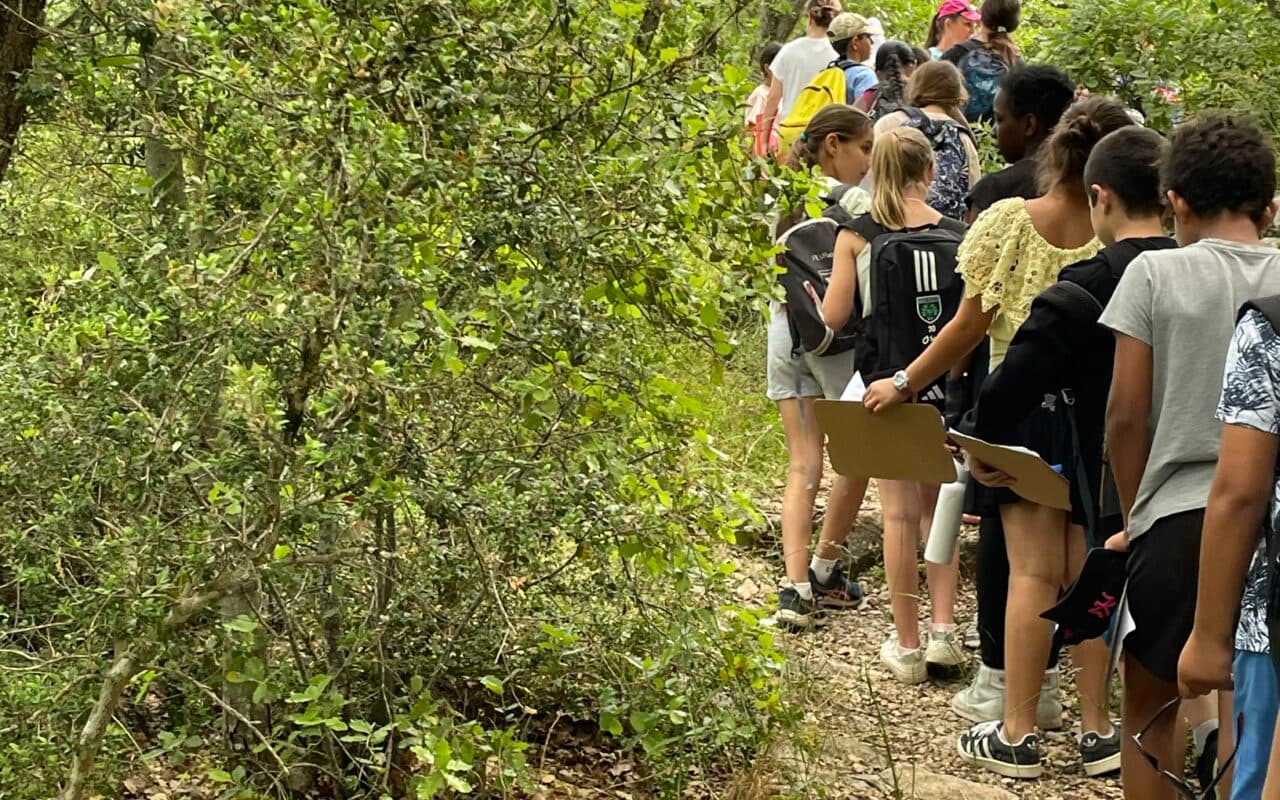 Atelier de sensibilisation en milieu scolaire CAUE Var